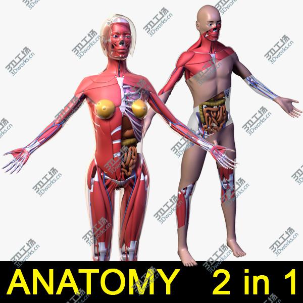 images/goods_img/2021040162/Human Anatomy 2 in 1/1.jpg